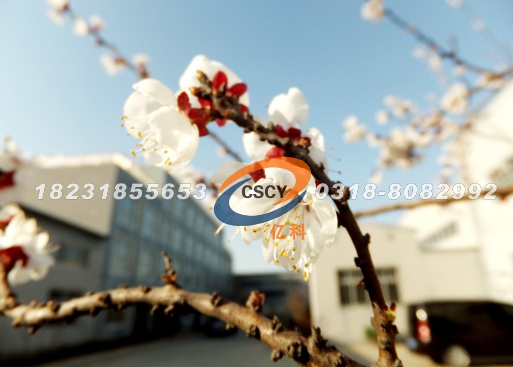 河北億科金屬制品有限公司廠區(qū)的桃花