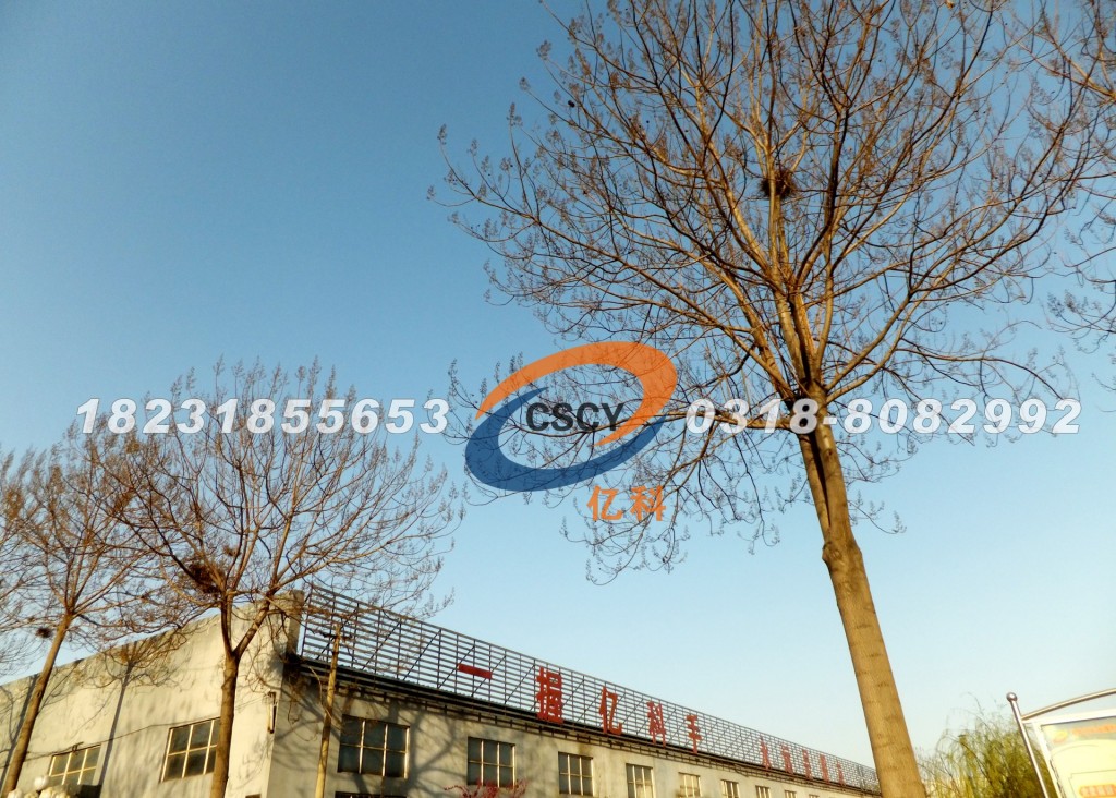 河北億科的鳥巢，共融大自然